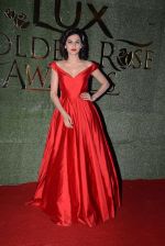 Taapsee Pannu at Lux Golden Rose Awards 2016 on 12th Nov 2016